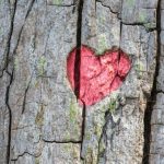 Perché i confini personali sono necessari in una coppia: se l'amore non è una fusione in un unico organismo perche-i-confini-personali-sono-necessari-in-una-coppia-se.jpg