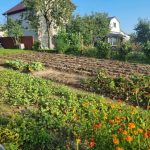 Perché il calendario lunare non funziona senza la correzione del tempo: svelare l'approccio astrologico perche-il-calendario-lunare-non-funziona-senza-la-correzione-del.jpg